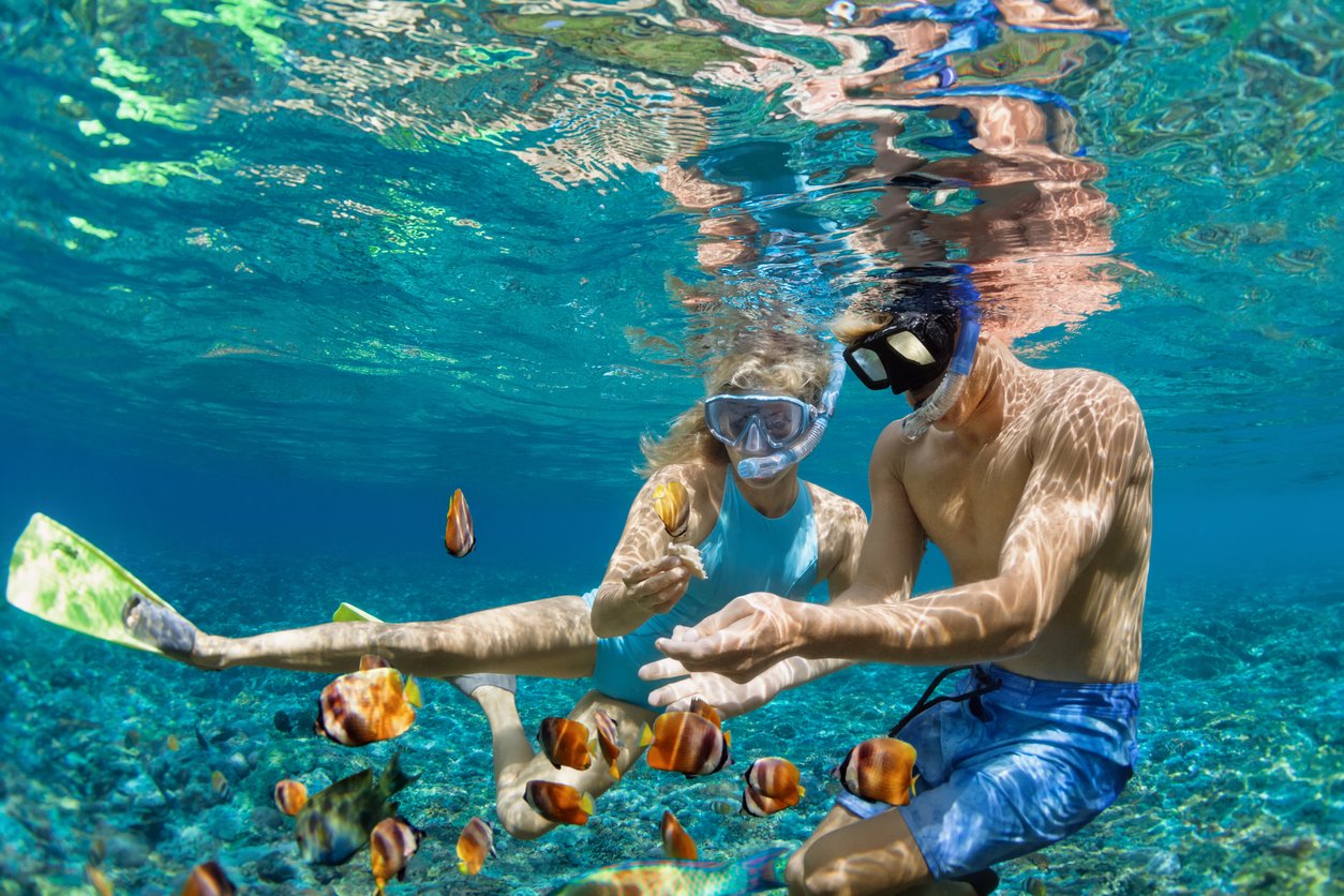 Florida Snorkeling: An Unforgettable Experience