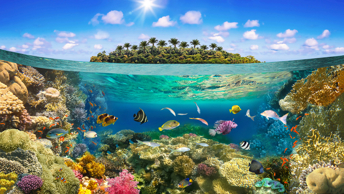 Beautiful sunny tropical beach on the island paradise and underwater world with coral fishes.