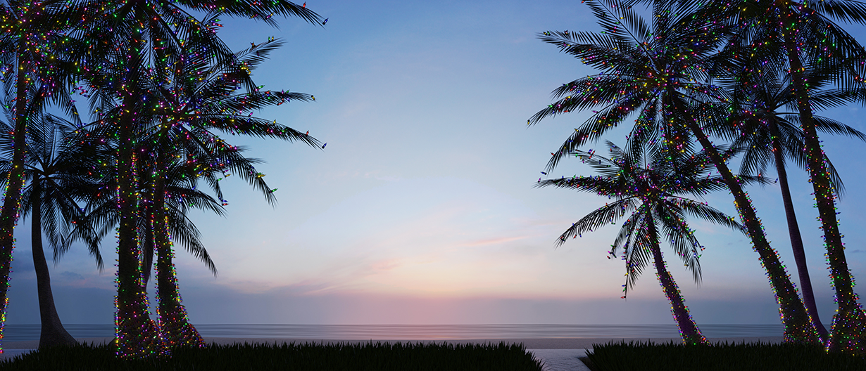 Christmas getaway in the Keys with palm trees with lights